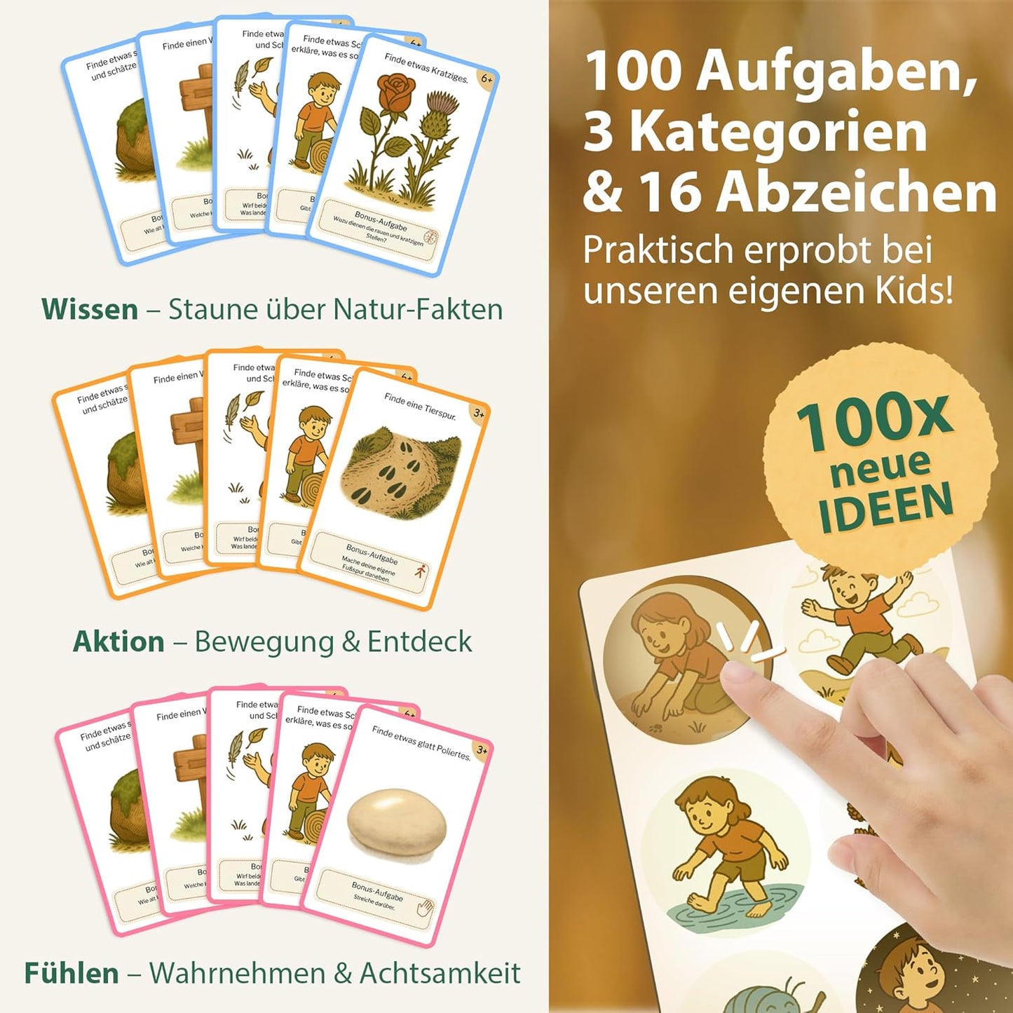 Natur Entdecker Karten Set